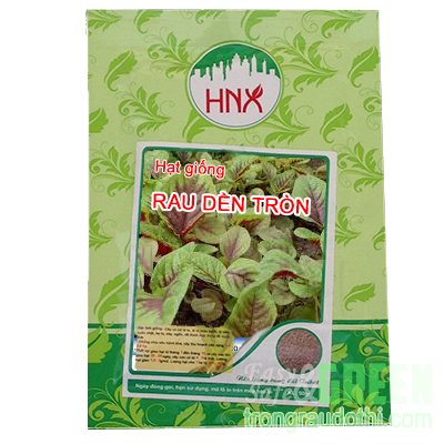 Hạt giống rau dền tròn - Ảnh 1